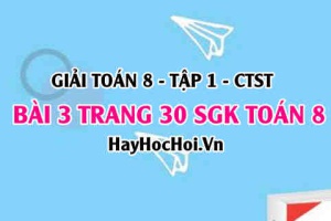 Giải bài 3 trang 30 Toán 8 Tập 1 SGK Chân trời sáng tạo